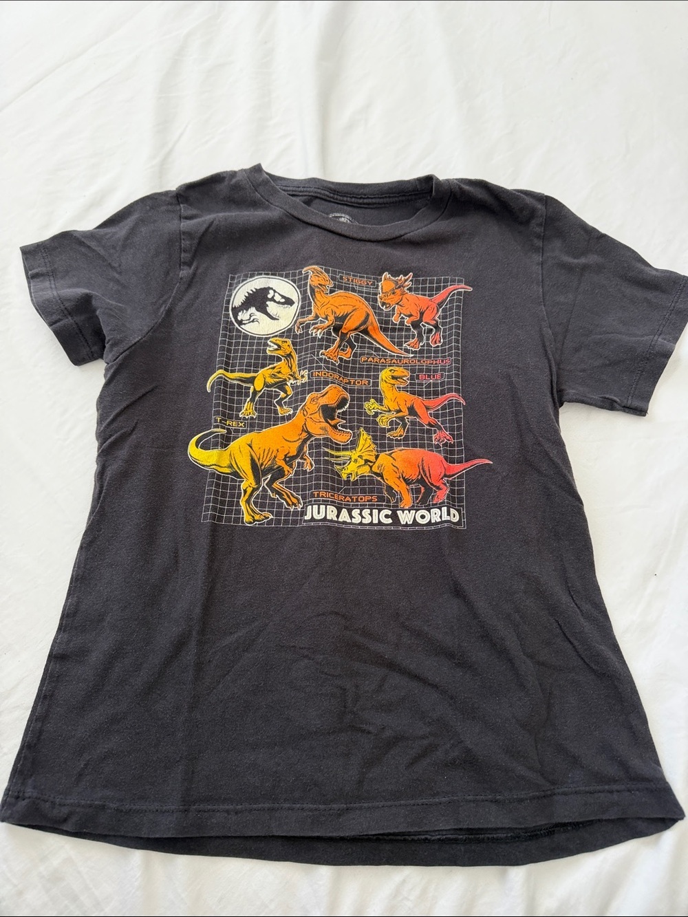 Kids Jurassic World Graphic Tee - Black size M